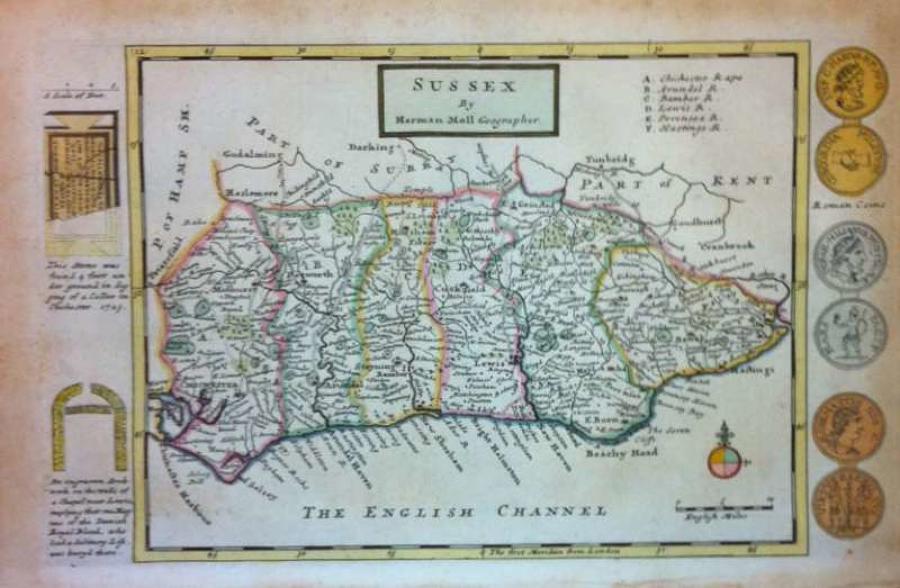 Moll - Sussex