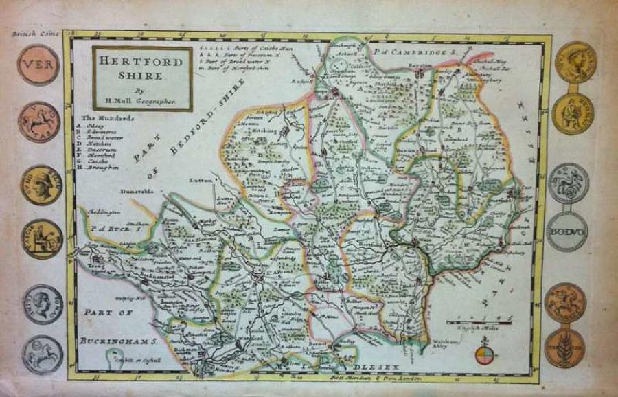 Moll - Hertfordshire